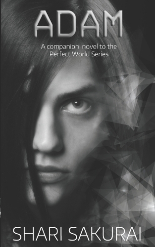 Adam - Perfect World (Paperback)