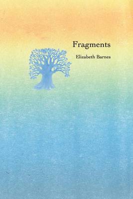 Fragments (Paperback)