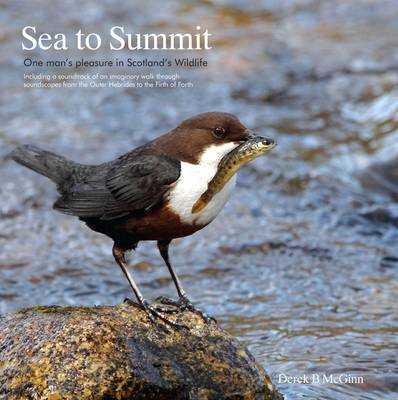 Sea to Summit: One Man's Pleasure in Scotland's Wildlife