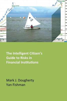 The Intelligent Citizen's Guide to Risks in Financial Institutions (Paperback)