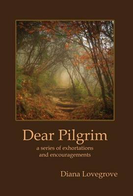 Dear Pilgrim (Hardback)