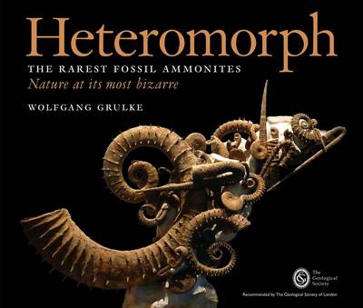 Heteromorph: The Rarest Fossil Ammonites: Nature at its Most Bizarre (Hardback)