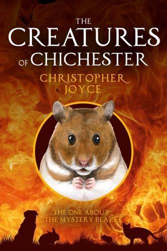 The Creatures of Chichester: 2: The One About the Mystery Blaze - The Creatures of Chichester 2 (Paperback)
