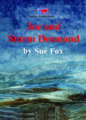 Joe Joe and Storm Desmond: Adventures, Emotions and Practicalities of Being Flooded as Seen from Viewpoint of a Youngster (Paperback)