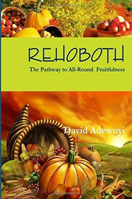 Rehoboth: The Pathway to All Round Fruitfulness: Volume 1 (Paperback)