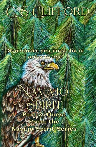 Quest - Navajo Spirit Series 2 (Paperback)