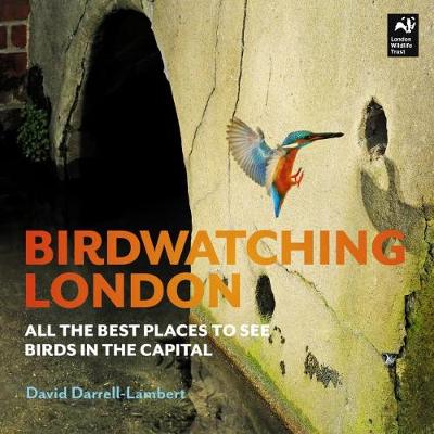 David Darrell-Lambert Birdwatching London