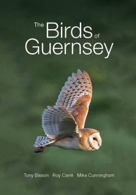 The Birds of Guernsey: A Systematic List (Paperback)
