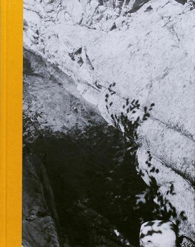 Palm Book (Hardback)