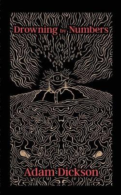 Drowning by Numbers (Paperback)