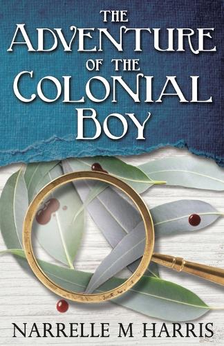 The Adventure of the Colonial Boy (Paperback)