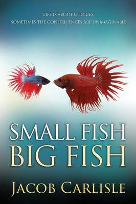 Small Fish Big Fish: U.S. Edition (Paperback)