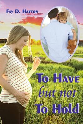To Have But Not to Hold (Paperback)