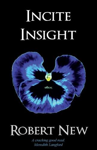 Incite Insight (Paperback)