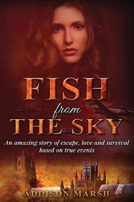 Fish from the Sky (Paperback)