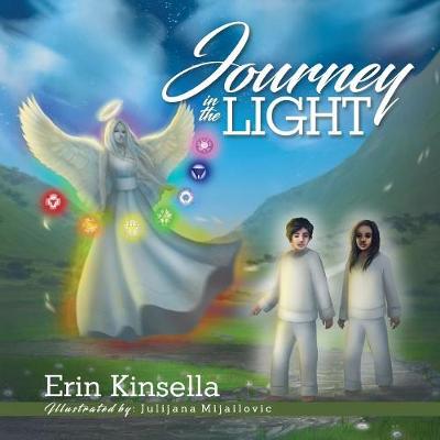 Journey in the Light (Paperback)