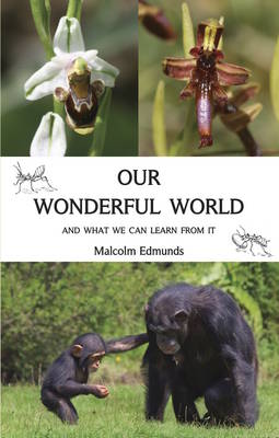 Our Wonderful World (Paperback)