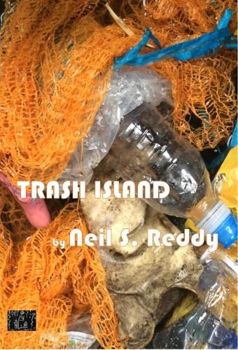 Trash Island (Paperback)