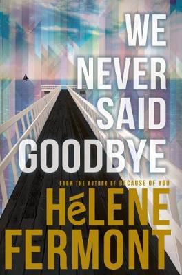 We Never Said Goodbye (Paperback)