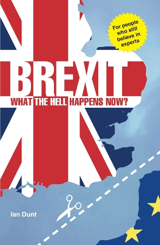 Brexit: What the Hell Happens Now? (Paperback)