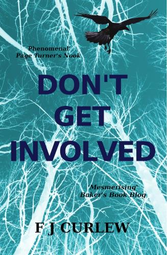 Don't Get Involved (Paperback)