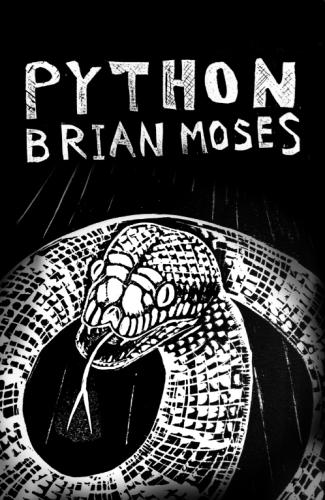 Python (Paperback)