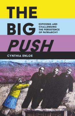 The Big Push: Exposing and Challenging the Persistence of Patriarchy (Paperback)