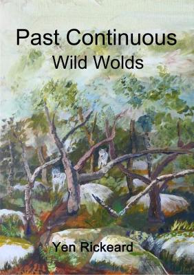 Past Continuous - Wild Wolds: The Danny Sharp Series 'Time and Again' - Time and Again 3 (Paperback)