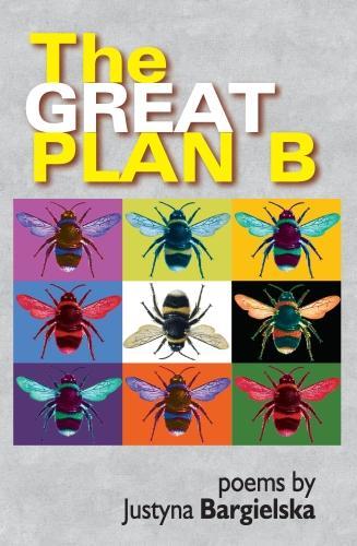 Great Plan B (Paperback)