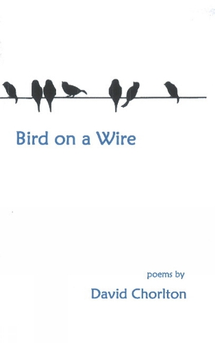 Bird on a Wire (Paperback)