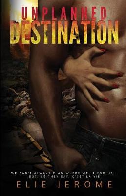 Unplanned Destination (Paperback)