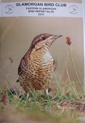 EASTERN GLANORGAN BIRD REPORT No. 55 2016 (Paperback)