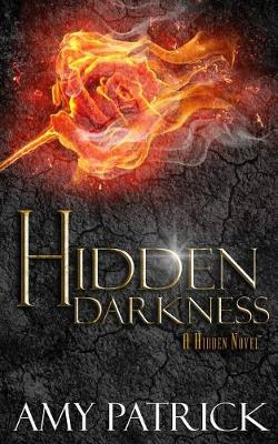 Hidden Darkness, Book 4 of the Hidden Saga - Hidden Saga 4 (Paperback)