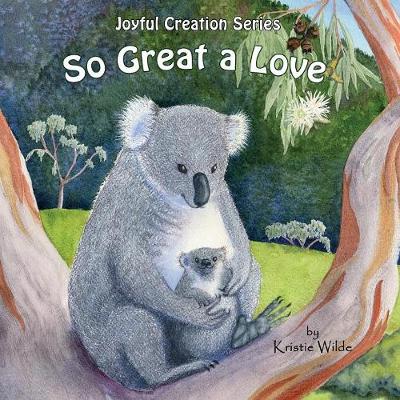 So Great a Love - Joyful Creation 2 (Paperback)