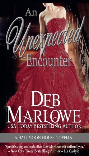 An Unexpected Encounter (Paperback)