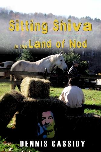 Sitting Shiva in the Land of Nod (Paperback)