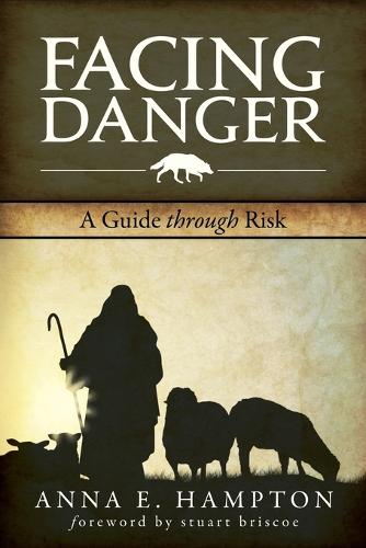 Facing Danger: A Guide Through Risk (Paperback)