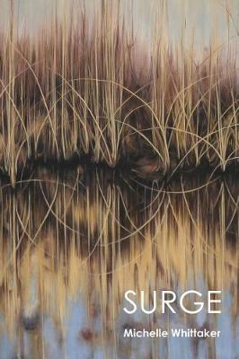 Surge (Paperback)