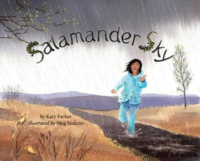 Salamander Sky (Hardback)