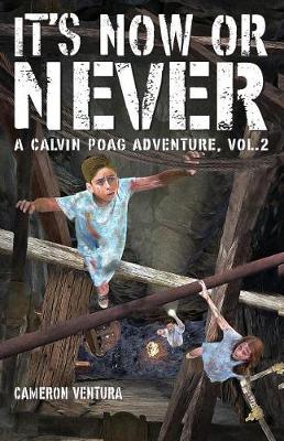 It's Now or Never: A Calvin Poag Adventure, Vol. 2 (Paperback)