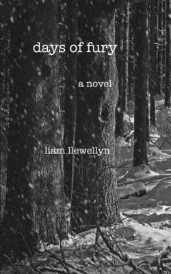Days of Fury (Paperback)