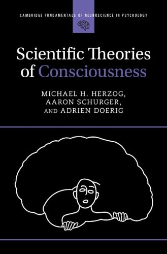 Cambridge University Press Scientific Theories Of Consciousness