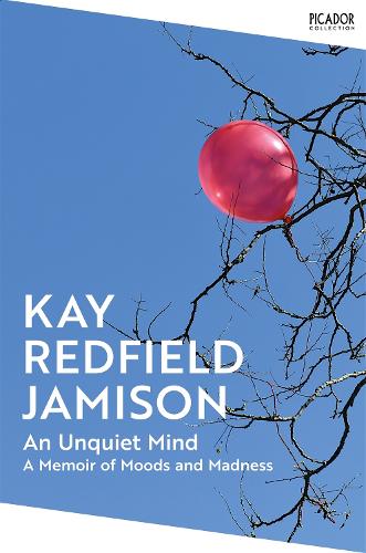 Book cover of An Unquiet Mind