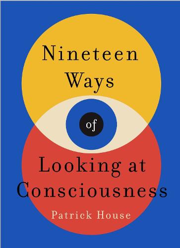 Nineteen Ways of Looking at Consciousness: Our leading theories of how your brain really works (Hardback)