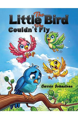 The Little Bird Who Couldn't Fly (Paperback)