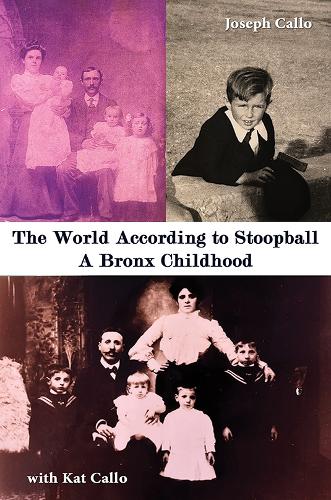 The World According to Stoopball: A Bronx Childhood (Paperback)