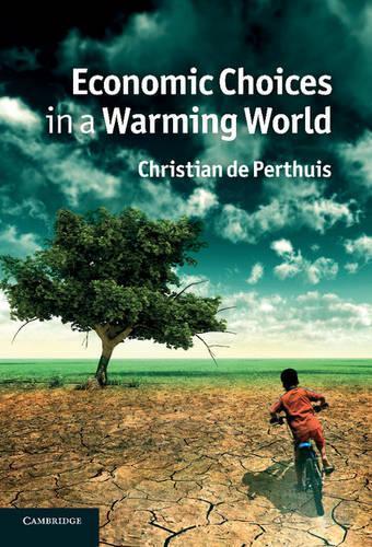Economic Choices in a Warming World (Hardback)