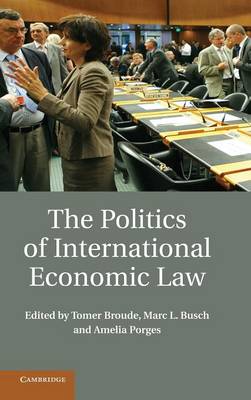 The Politics of International Economic Law (Hardback)