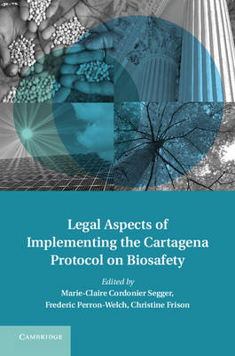 Legal Aspects of Implementing the Cartagena Protocol on Biosafety - Treaty Implementation for Sustainable Development (Hardback)