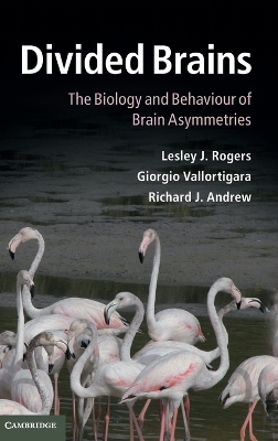 Divided Brains: The Biology and Behaviour of Brain Asymmetries (Hardback)